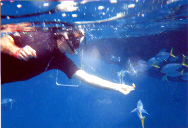 larrysnorkel.jpg (392982 bytes)