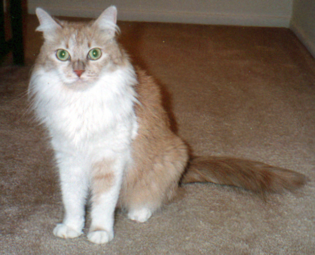 malachi.jpg (377310 bytes)